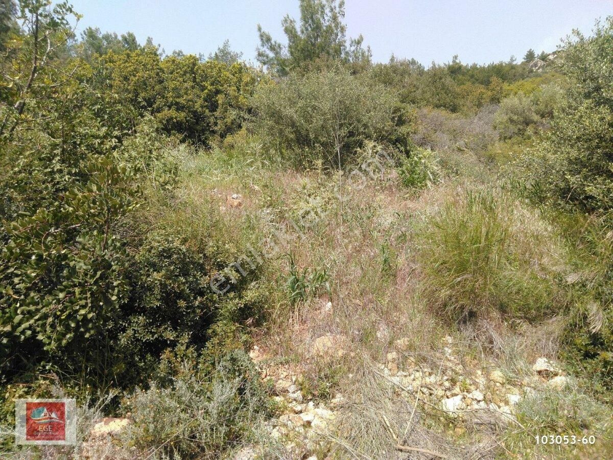 İlan Fotoğrafı